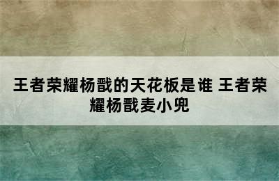 王者荣耀杨戬的天花板是谁 王者荣耀杨戬麦小兜